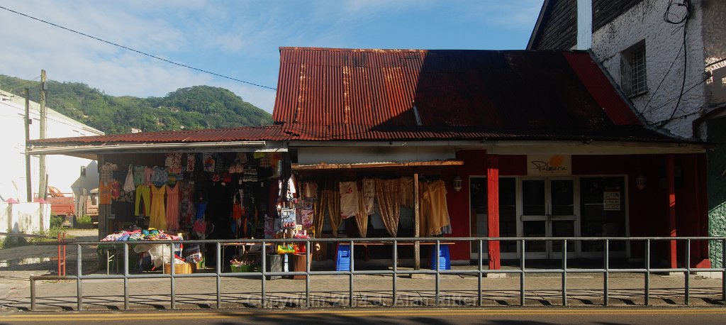 DSC 4946