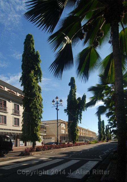 DSC 4995