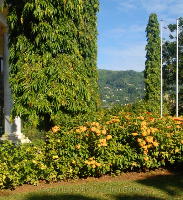 DSC 5018