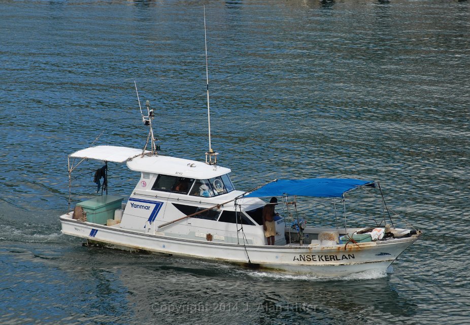 DSC 5095