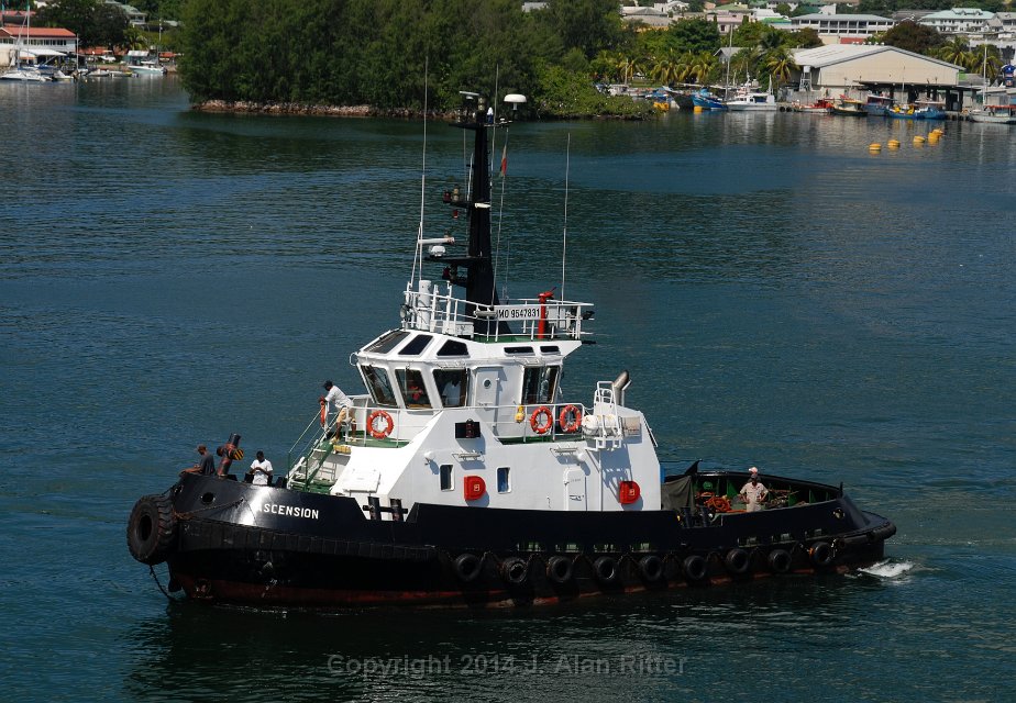 DSC 5185