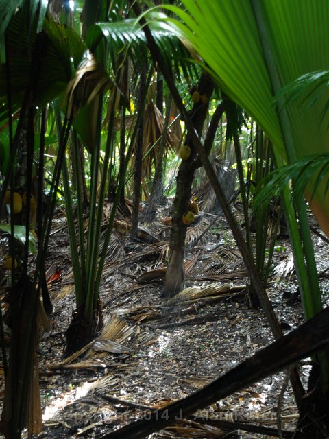 DSC 5310