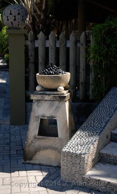 DSC 5359