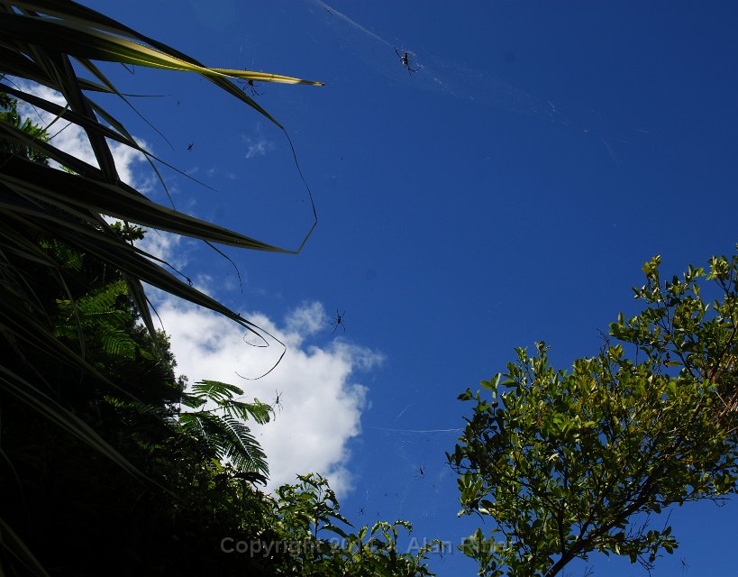 DSC 5580