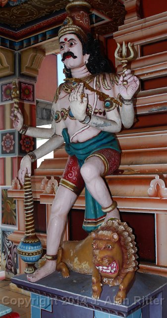 DSC 5737