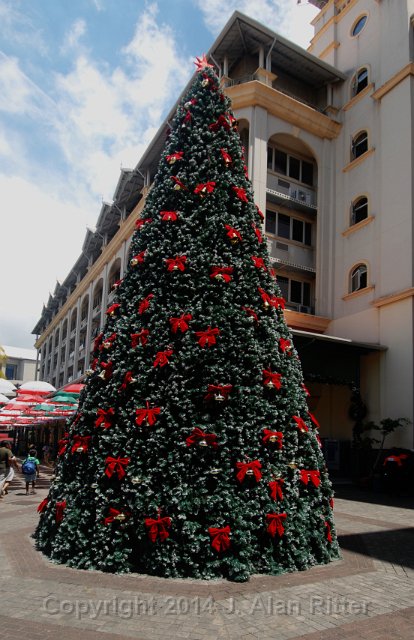 DSC 5846