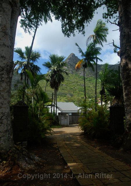 DSC 5923