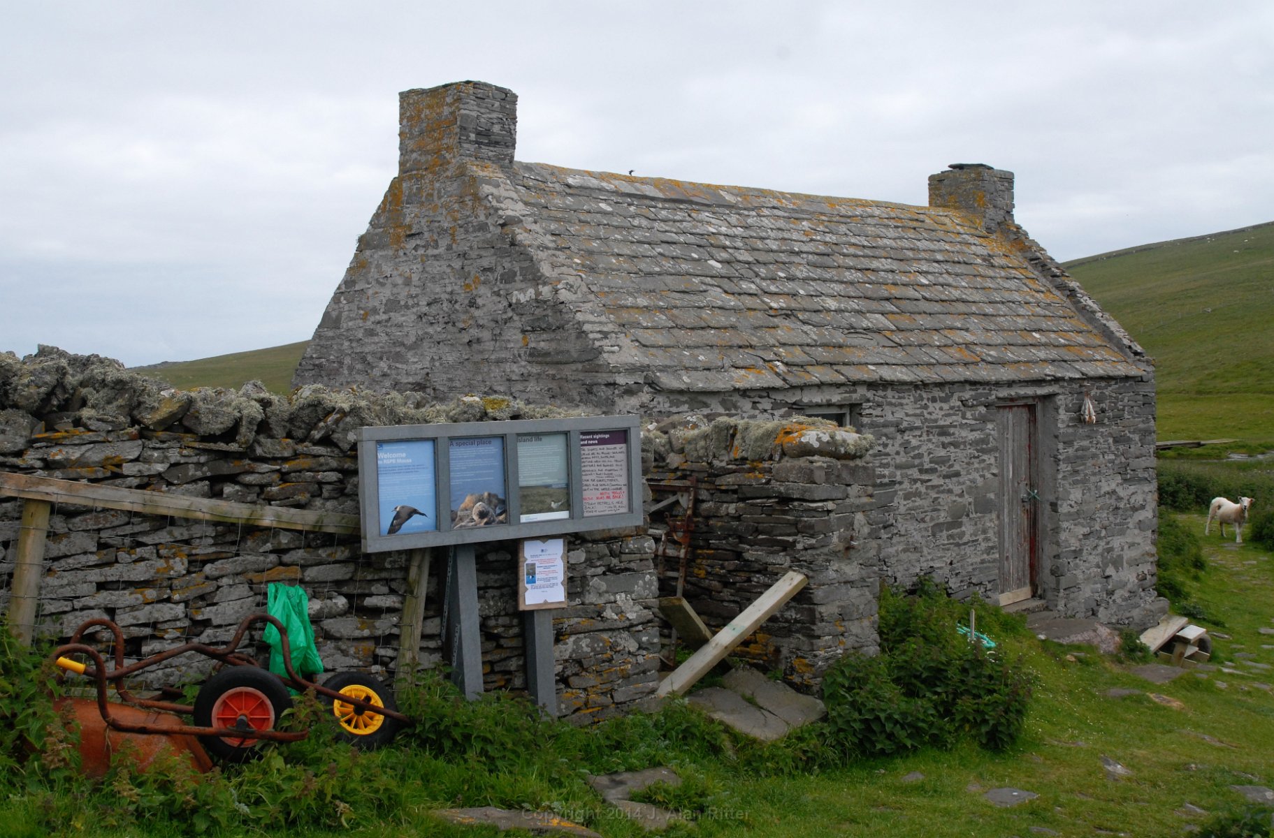 DSC 0942