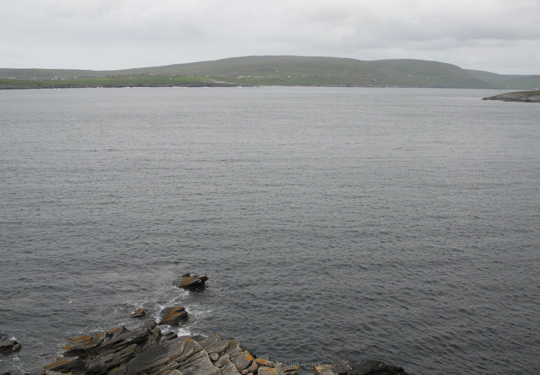 DSC 0971