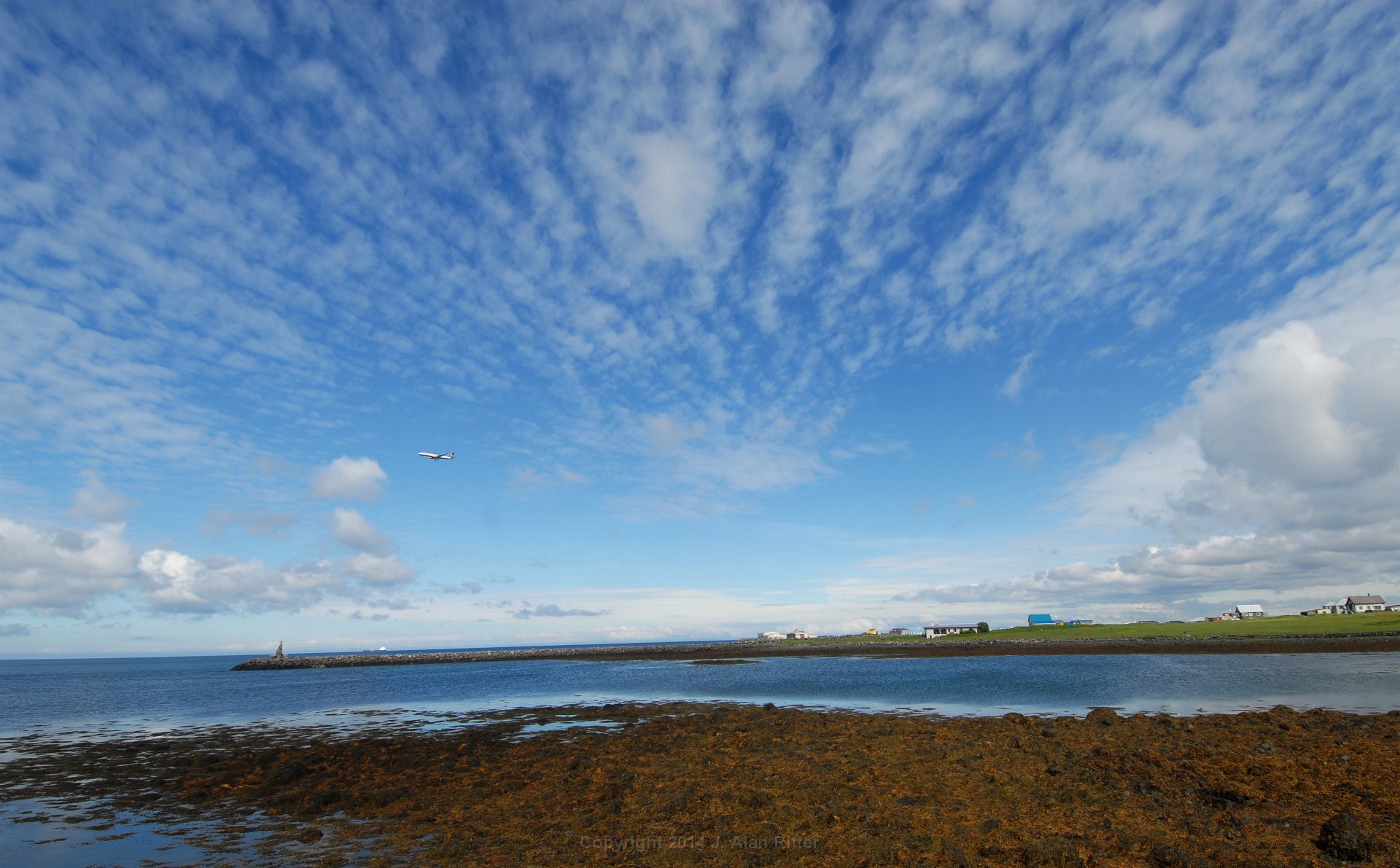 DSC 1155