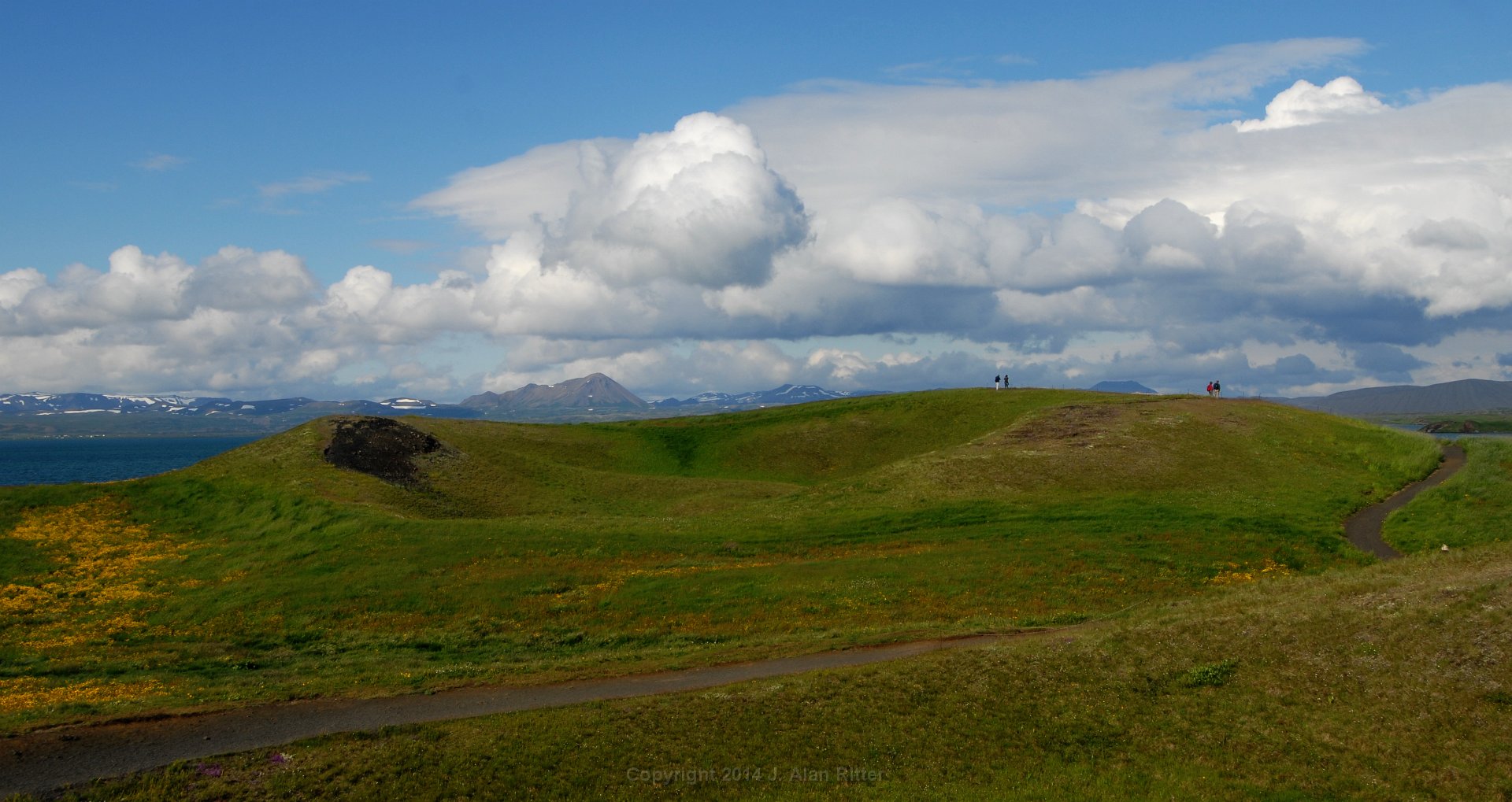 DSC 1847