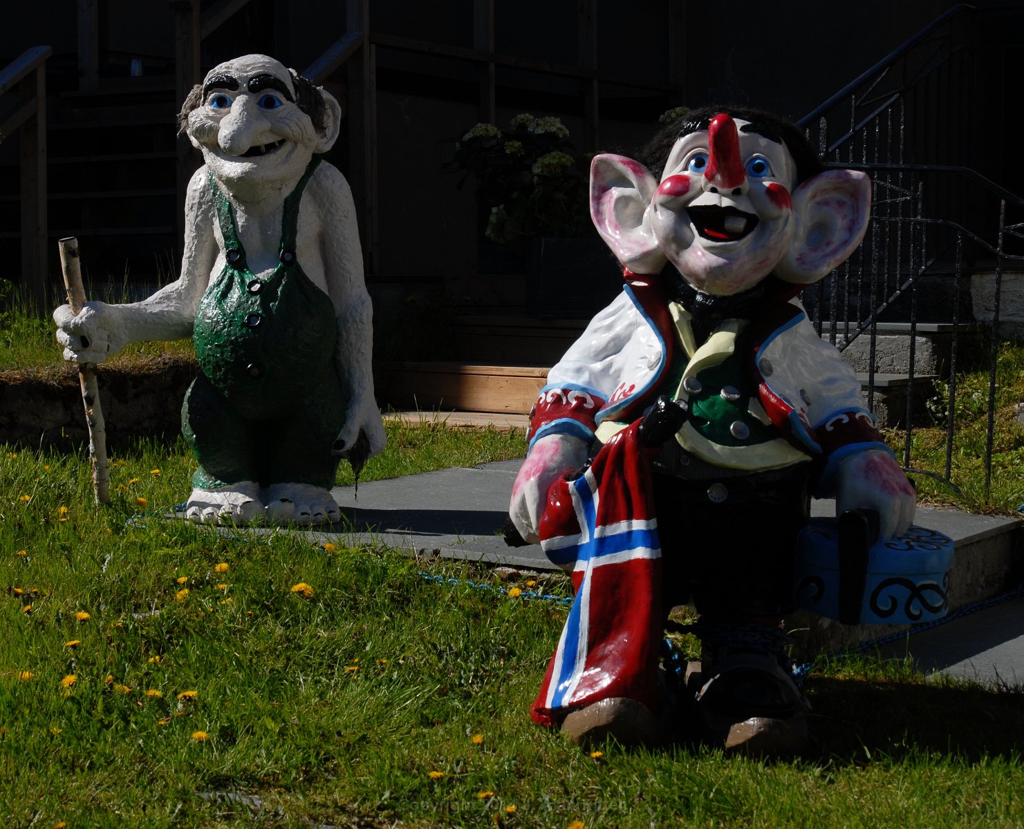 DSC 3195