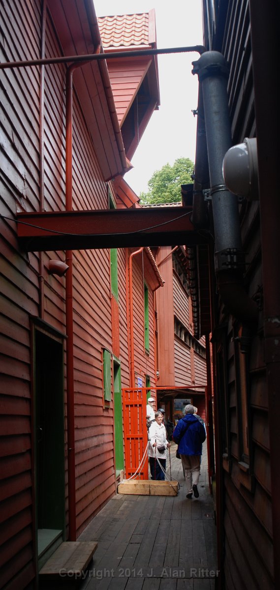 DSC 3306