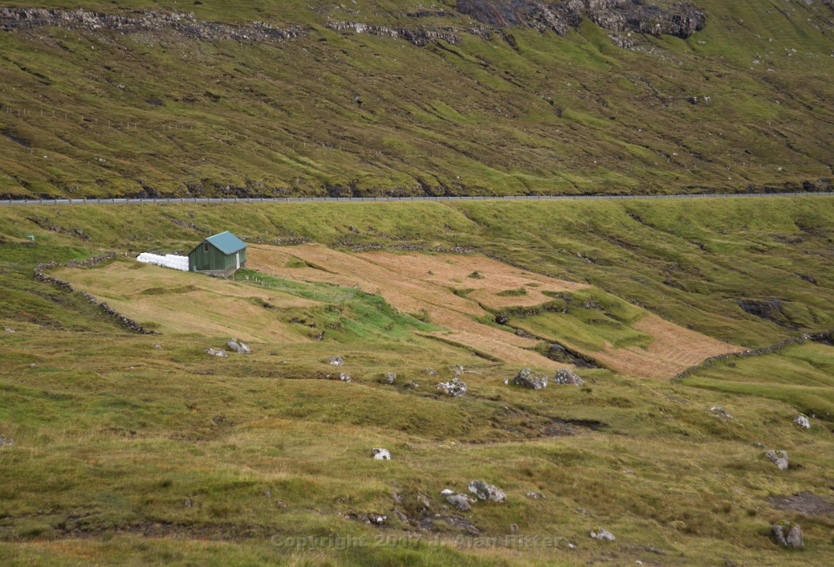 DSC 5173