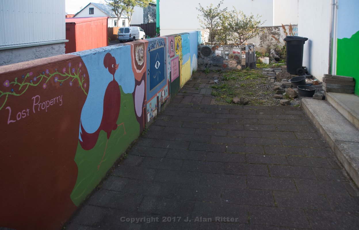 DSC 5374