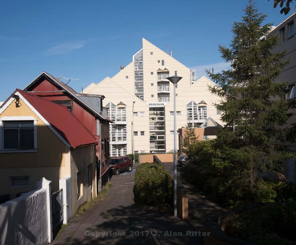 DSC 5409
