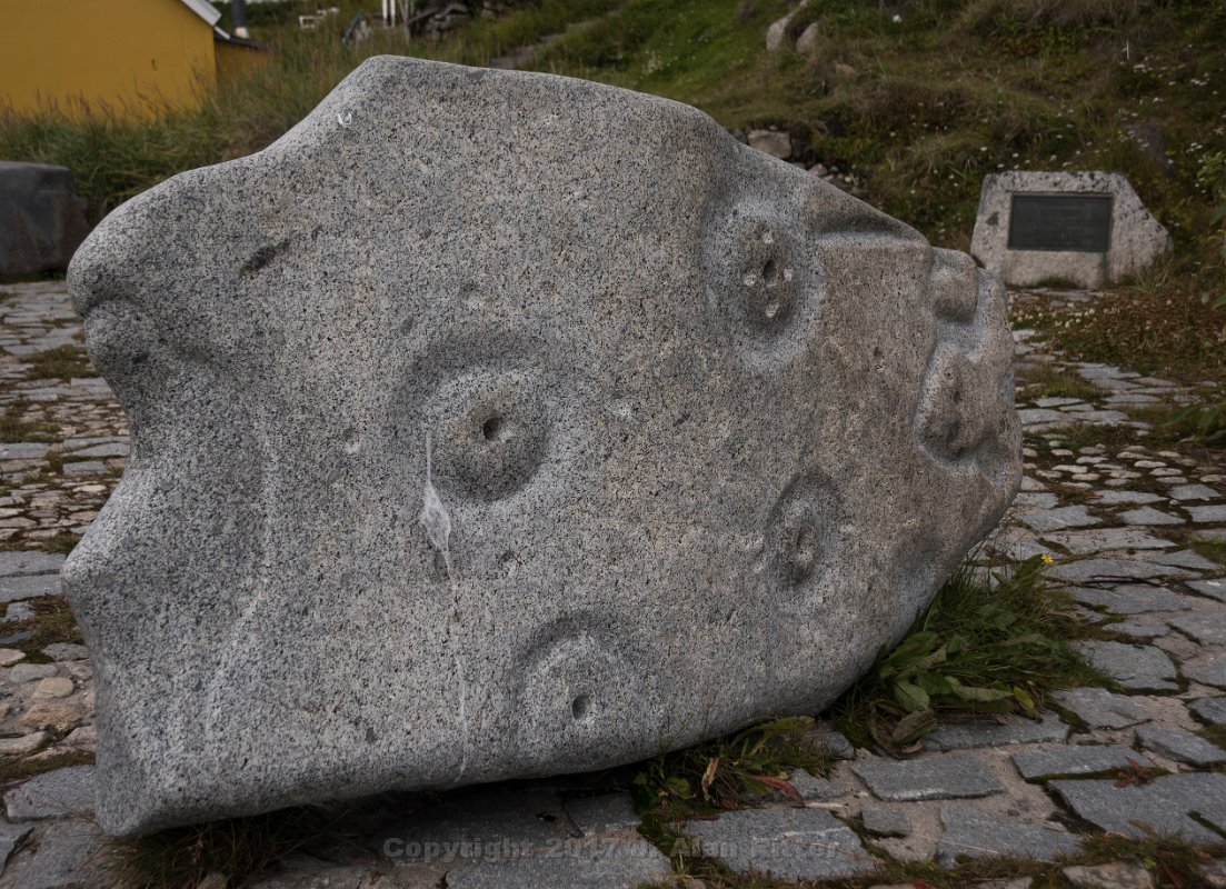 DSC 5650