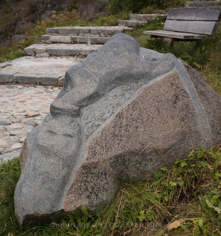 DSC 5678