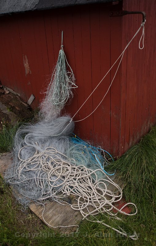 DSC 5696
