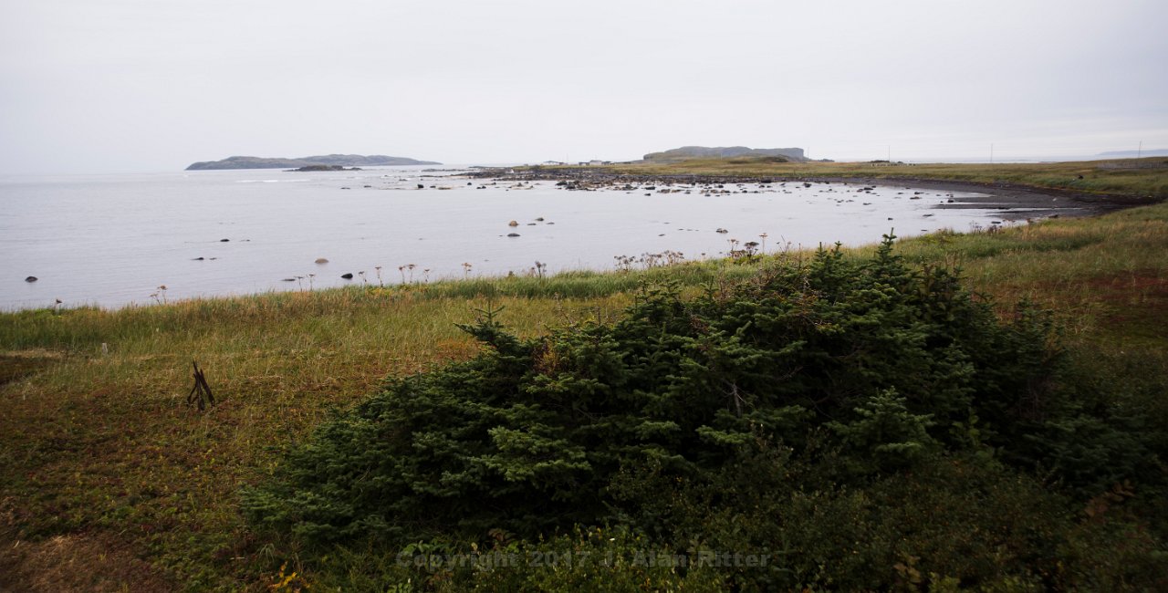 DSC 5960