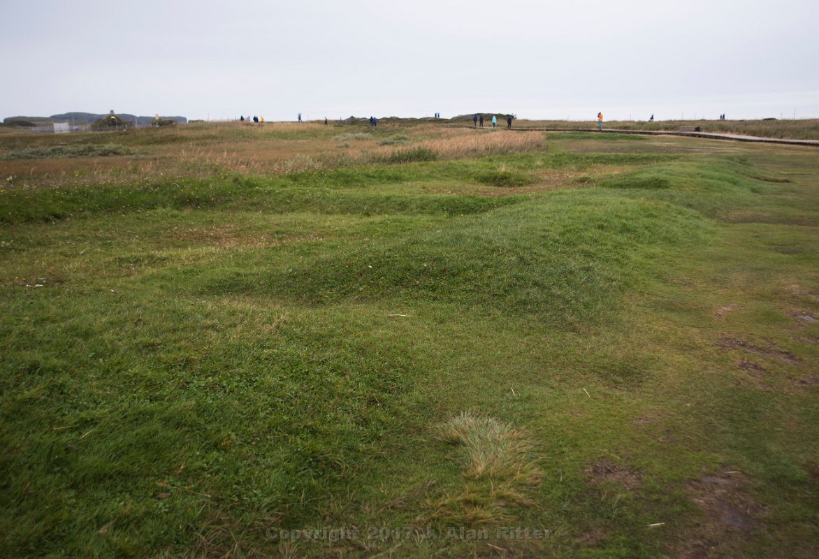 DSC 5963