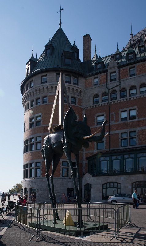 DSC 6219