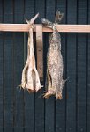 DSC 5188  Cod Drying, Faroe Islands