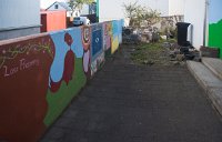 DSC 5374  Colorful Wall, Reykjavik