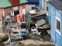 DSC 5684  Drying Cod in the Backyard, Qaqortoq