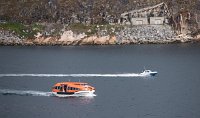 DSC 5920  Last Tender back to Viking Sky, Qaqortoq