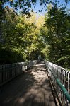 DSC 6369  Shady Boardwalk, Quebec City