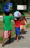 DSC 2831  Carrying Home the Day's Shopping, Alotau