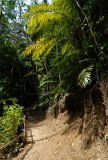 DSC 3004  Trail to Skull Cave, Doini
