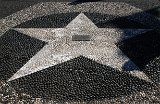 DSC 3452  Memorial Star