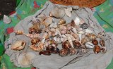 DSC 3697  She Sells Sea Shells by the Sea Shore, Honiara