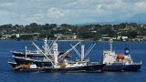 DSC 3784  Fishing Trawlers, Honiara Bay