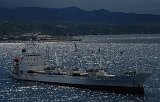DSC 3790  Fishing Trawler in the Sunlight, Honiara