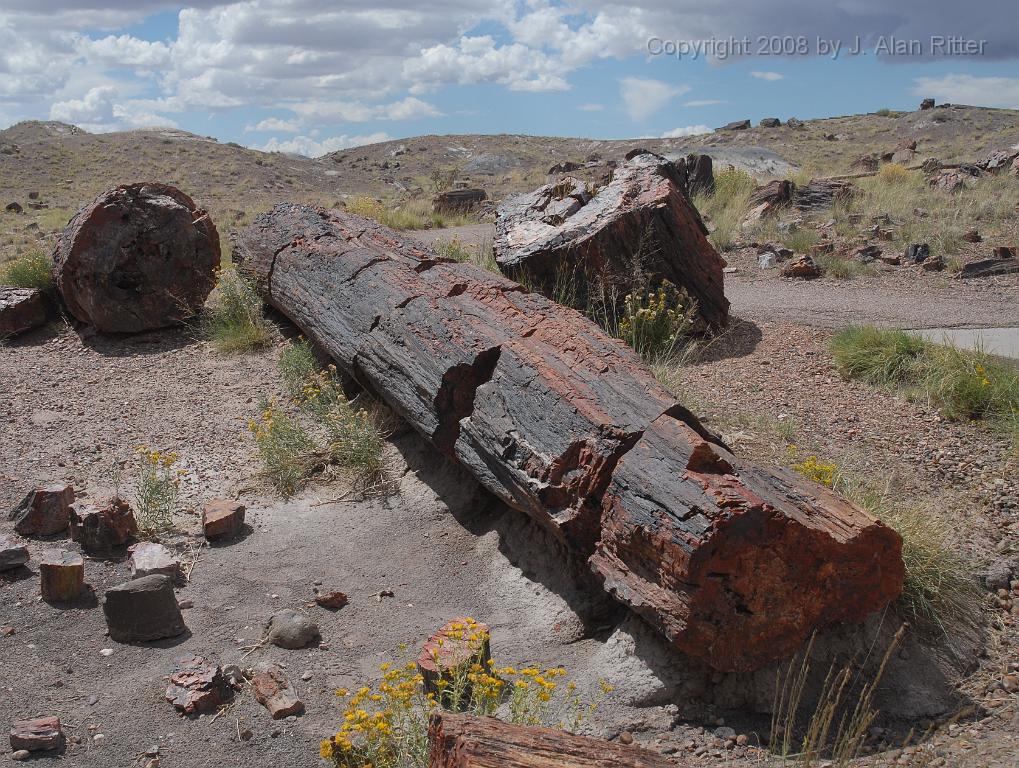Slide_001.jpg - Some of the first logs you see behind the visitors' center at the park entrance.