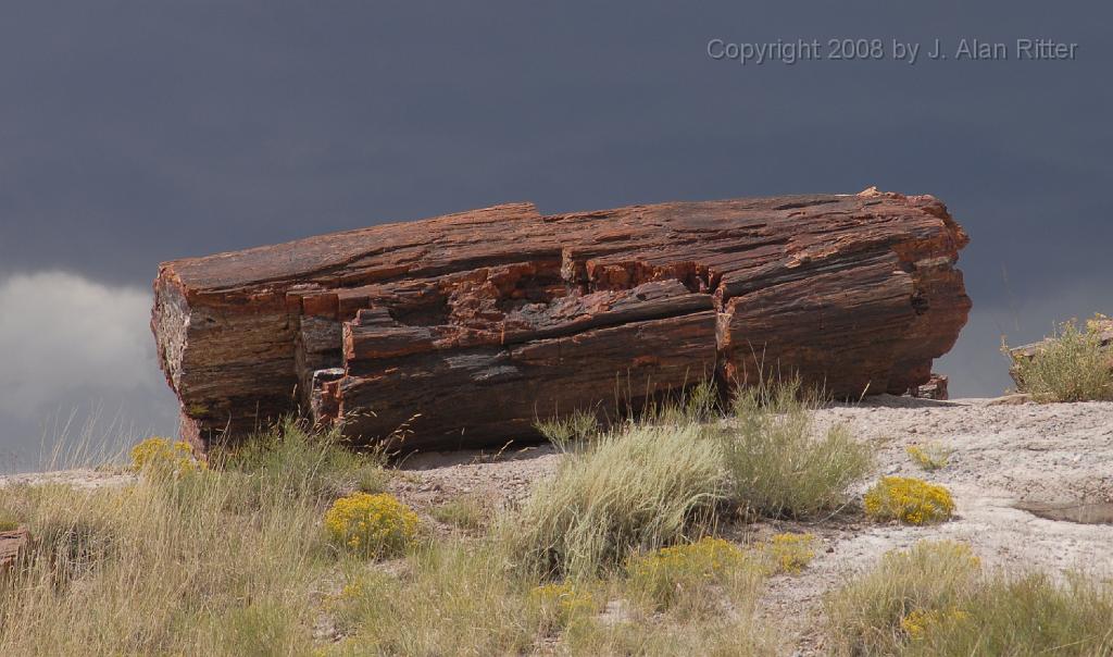 Slide_002.jpg - Isolated log framed by dark clouds.