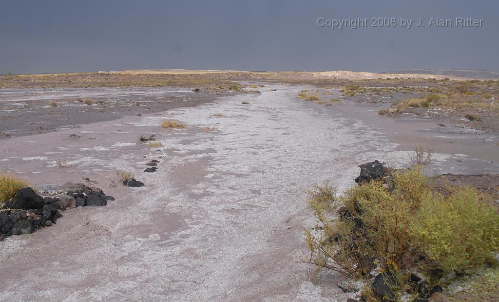Slide_006.jpg - The thunderstorms dropped both torrential rain and hail, which floated down the gullies like foam on top of the water.
