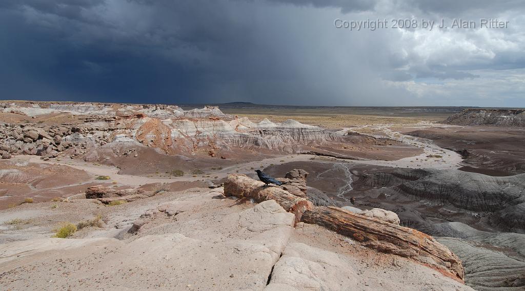 Slide_009.jpg - Partially buried log, badlands, stream beds and a raven, drying out after the rains.