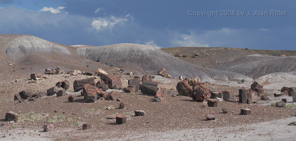 Slide_020.jpg - The area along the "Long Log" trail is littered with pieces of petrified logs.