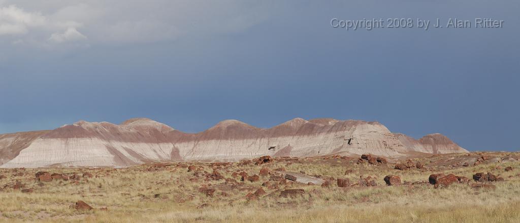 Slide_022.jpg - Layered sediments tinted by different minerals.  The light grey strata, composed of fine volcanic ash, are where many of the petrified logs were buried.