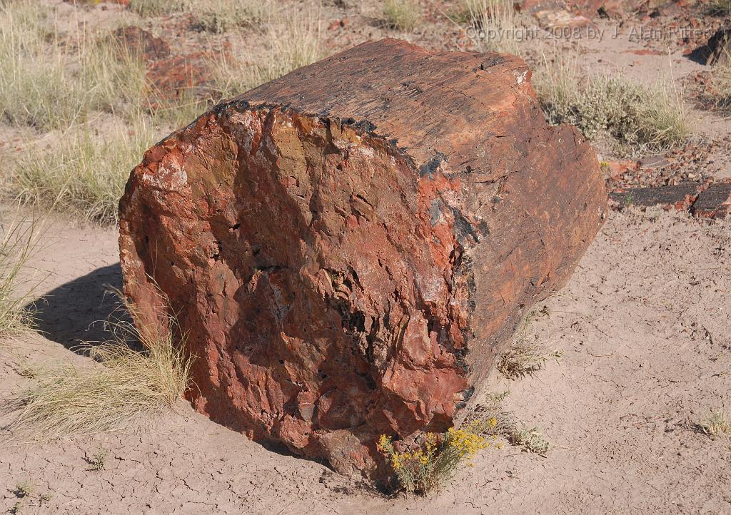 Slide_023.jpg