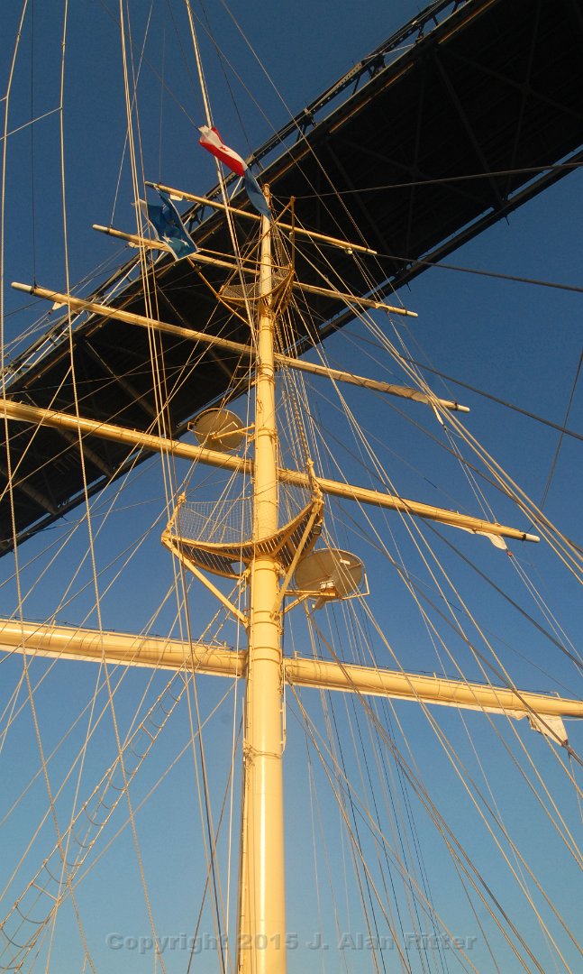 DSC 1199