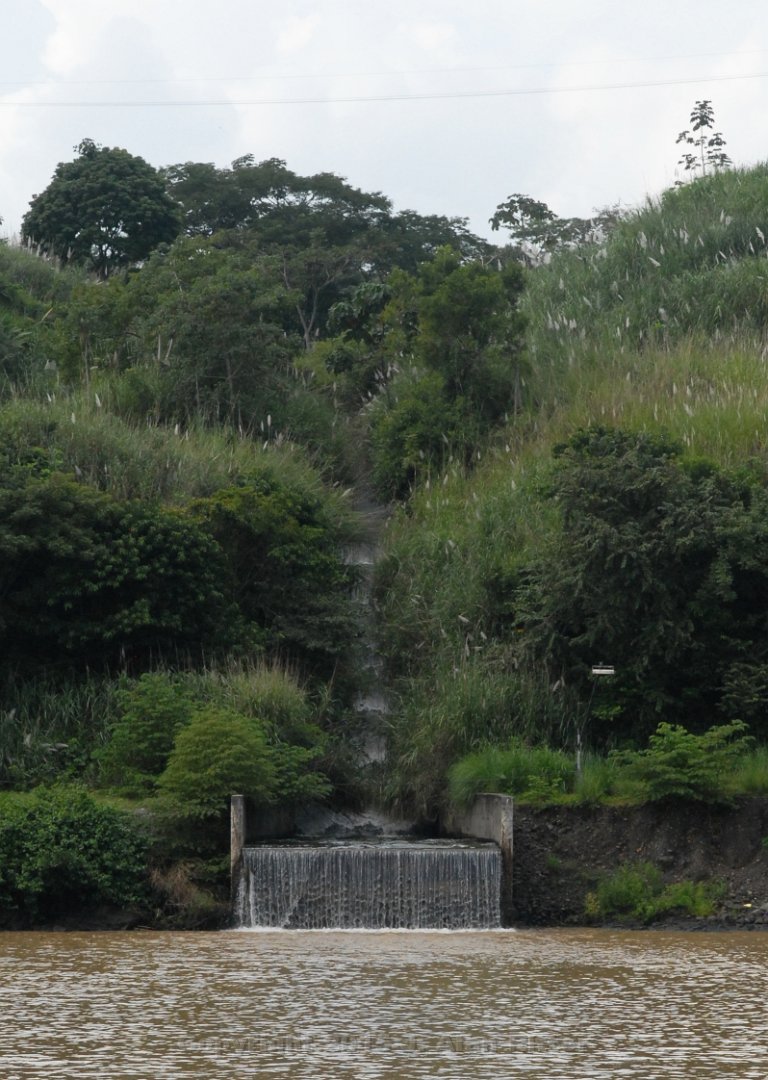 DSC 1577