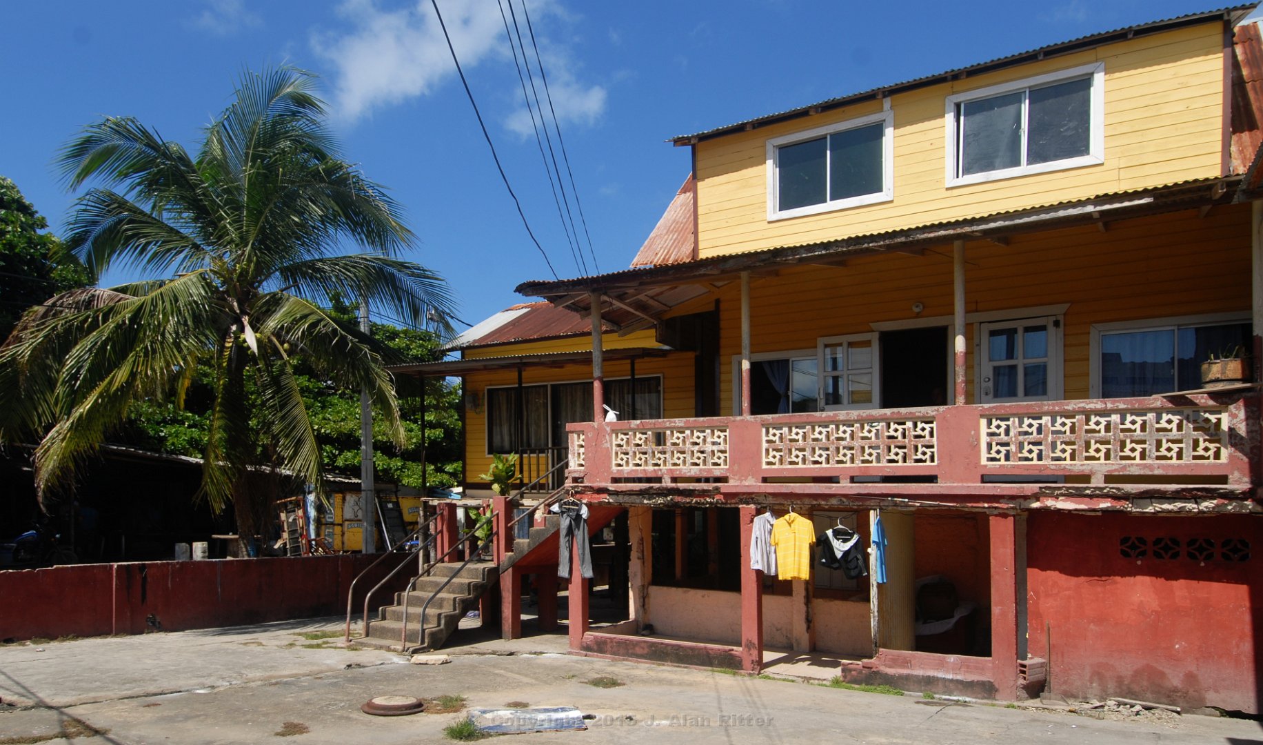 DSC 2011