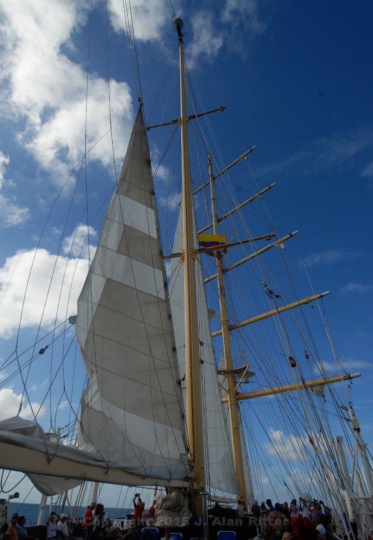 DSC 2197
