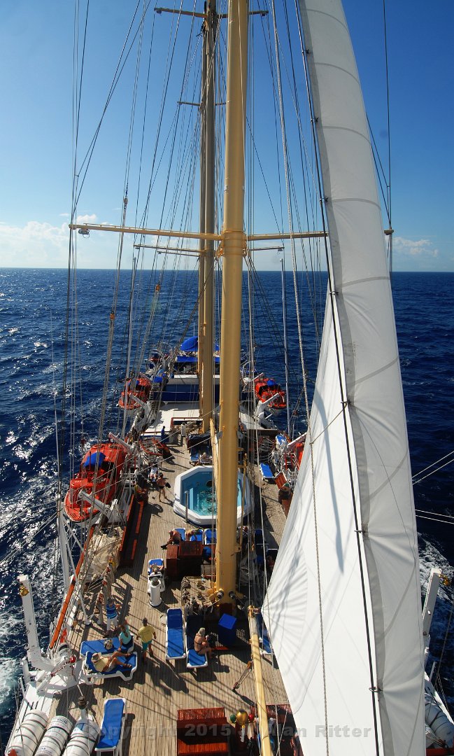 DSC 2239